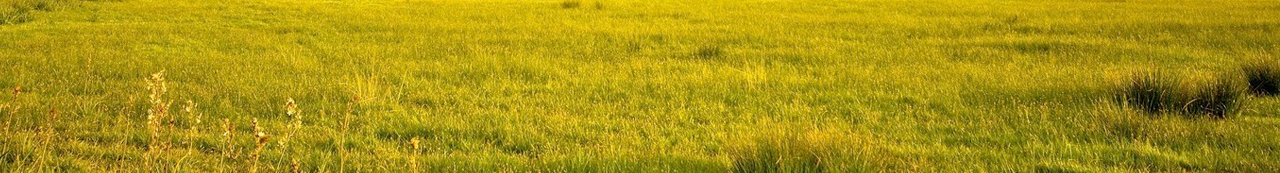 Barcelona casa rural
